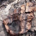 Классические исландские защитные гальдрставы с рецептами применения